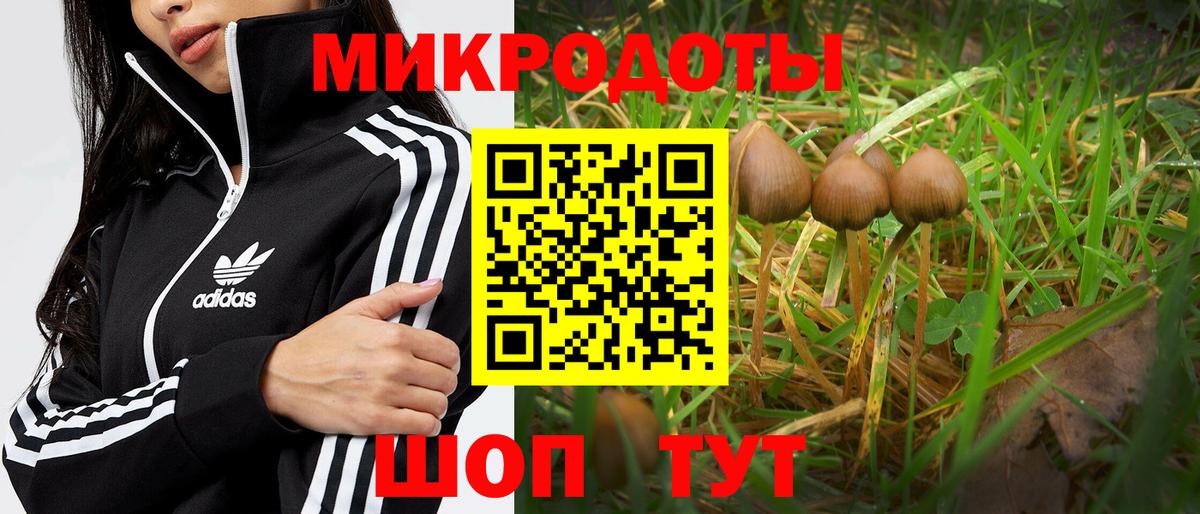 Наро-Фоминск  Галлюциногенные грибы Psilocybe  Вход с VPN 